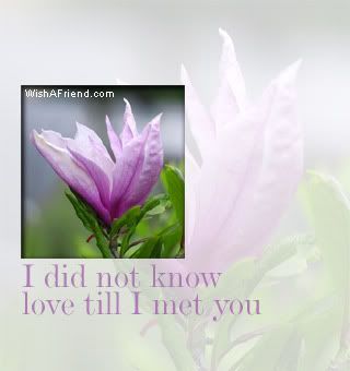 I Did Not Know Love Till I Met You picture
