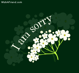 I Am Sorry picture