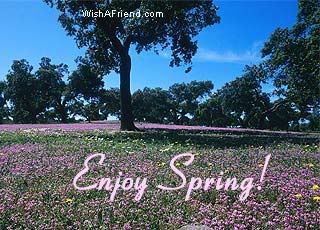 Enjoy Spring picture