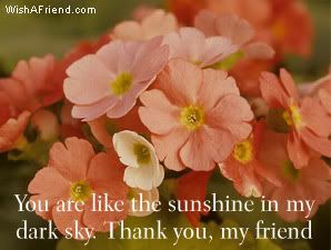 You Are Like The Sunshine picture