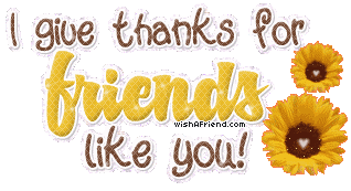 I Give Thanks For Friends Like You picture
