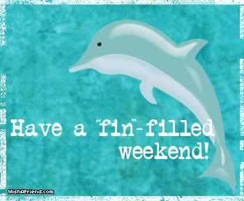 Fin-filled Weekend picture