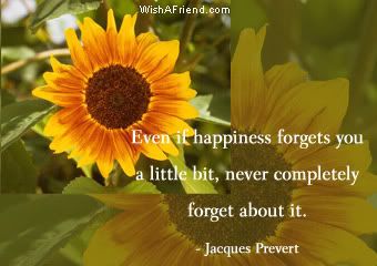 Quotes Happiness on Happiness Myspace Quotes  Happiness Quotes For Myspace  Blogs     Page