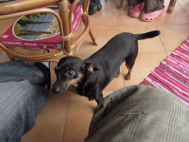 Slika