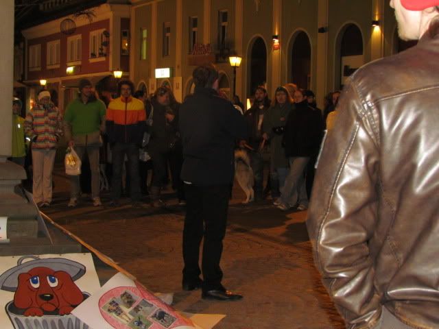 Slika