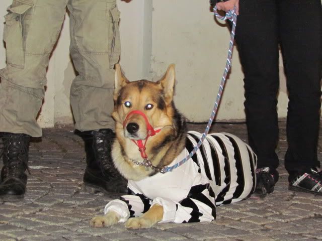 Slika