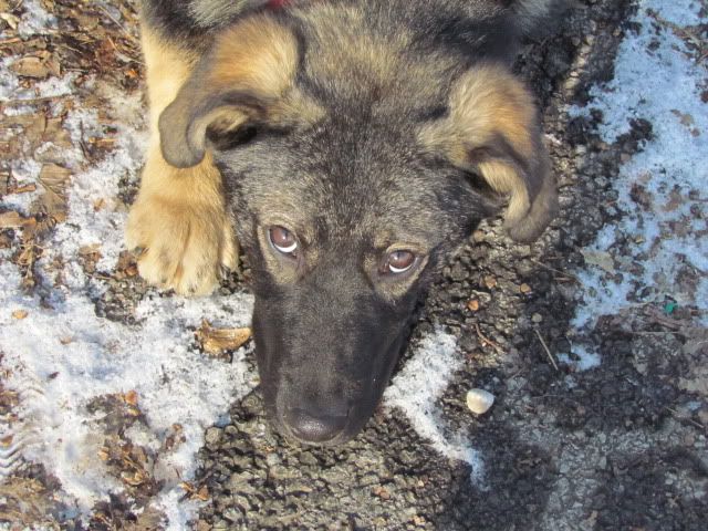 Slika