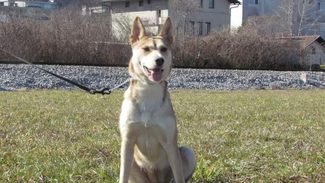 Slika