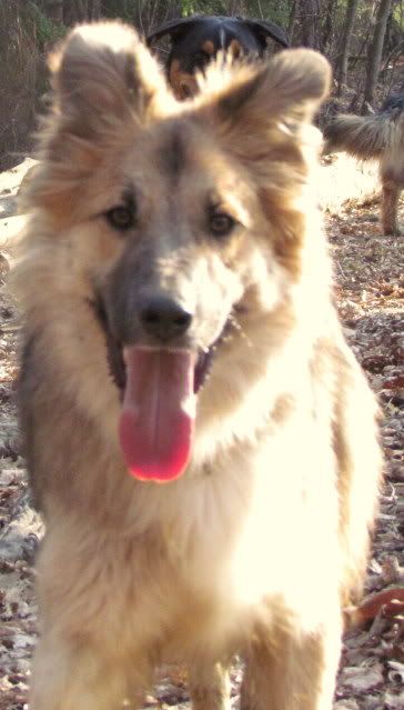 Slika
