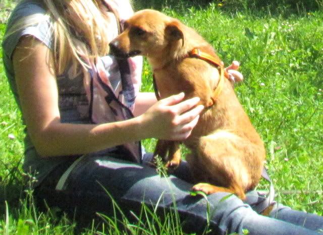 Slika