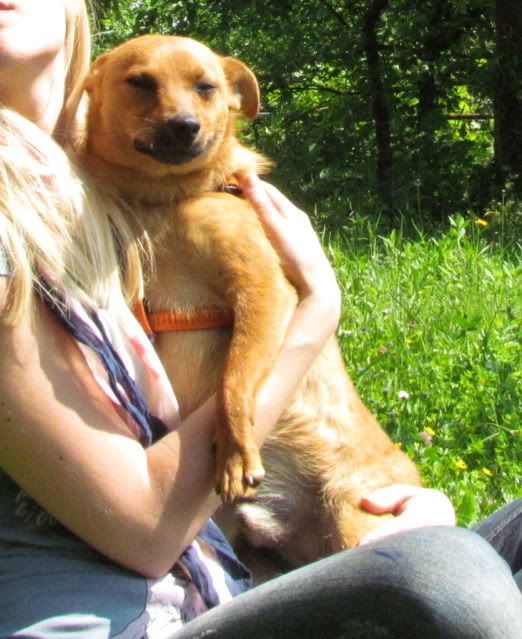 Slika