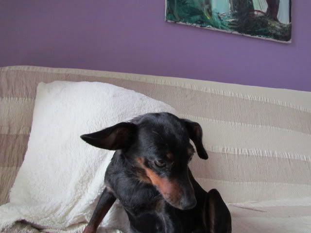 Slika