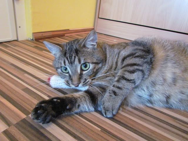 Slika