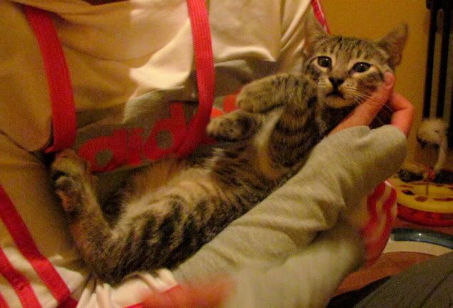 Slika