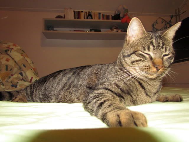 Slika