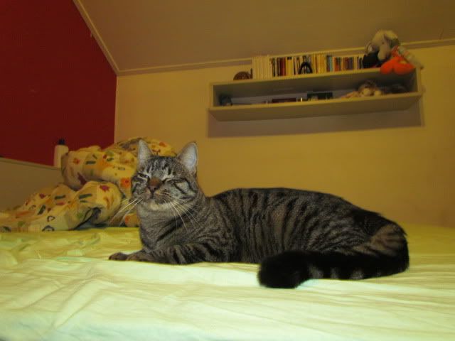 Slika