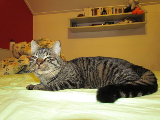 Slika