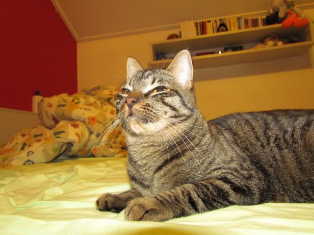 Slika