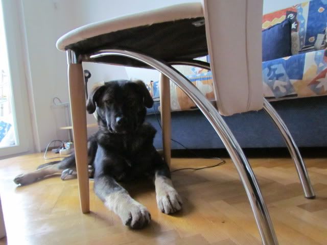 Slika
