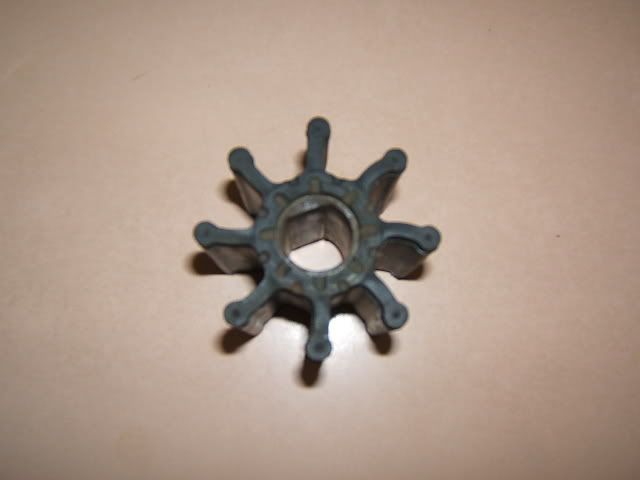 DSCF6596.jpg