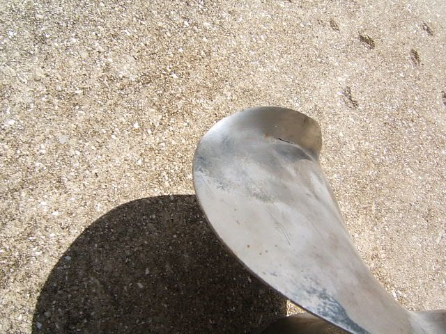 DSCF8618.jpg