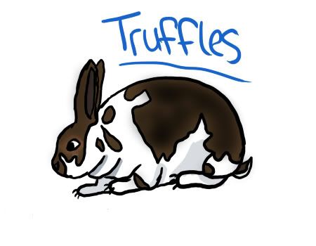 Truffles.jpg picture by SecretHorse