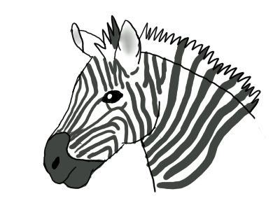 Zebra.jpg picture by SecretHorse