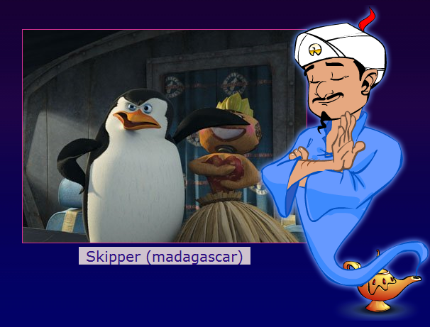 skipper.png