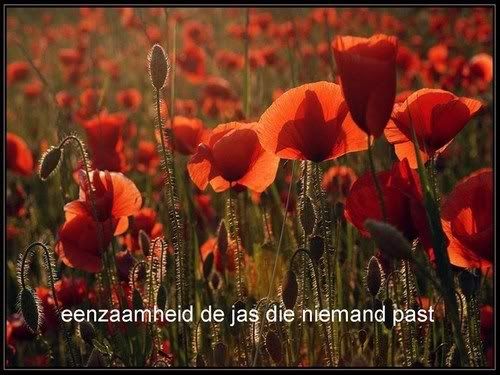 147233324_5_ZJSm.jpg spreukje image by naspruitje29