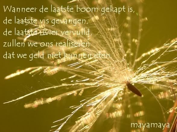 2210948.jpg Gedicht 53 picture by Universum_Angel