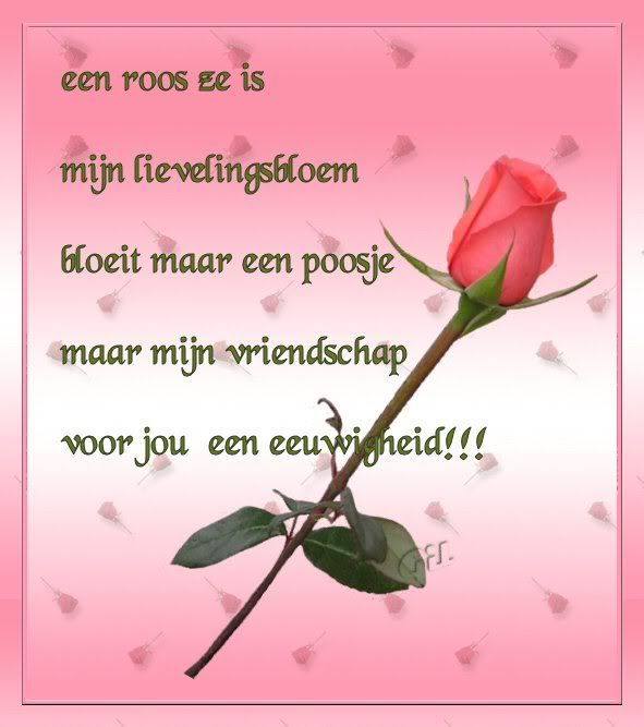 eenroos.jpg Gedicht 216 picture by Universum_Angel
