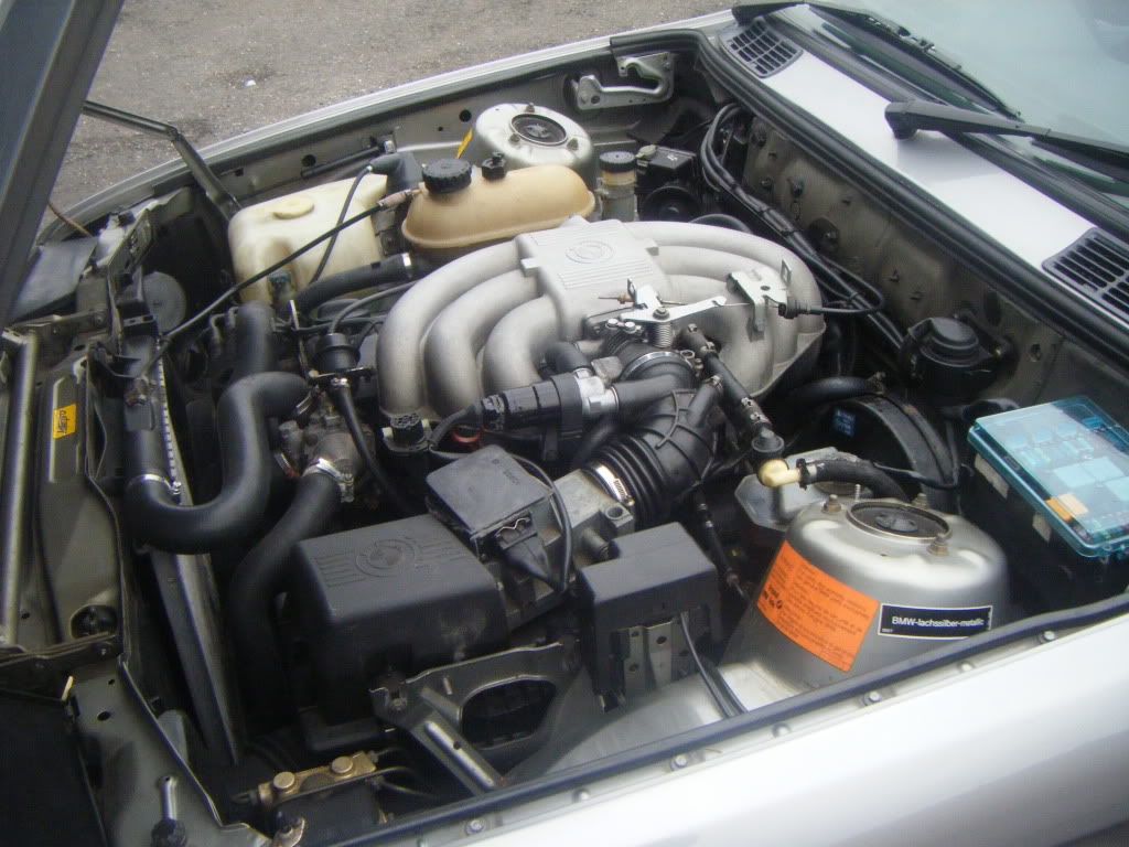 DSCF1637.jpg