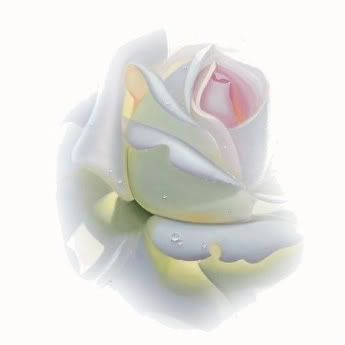 http://i251.photobucket.com/albums/gg300/yaksssss/flowers/fb2742595a07f1b56ced273dc91f5c0e_we.jpg