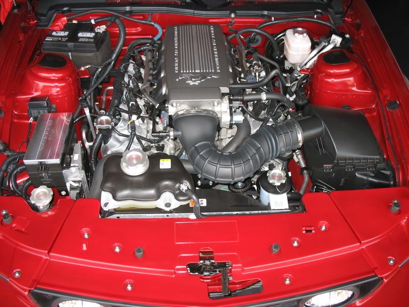Candy Apple Red Engine Bay The Mustang Source Ford Mustang Forums