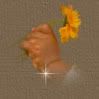 SmellTinyimage.jpg picture by Damita_Br