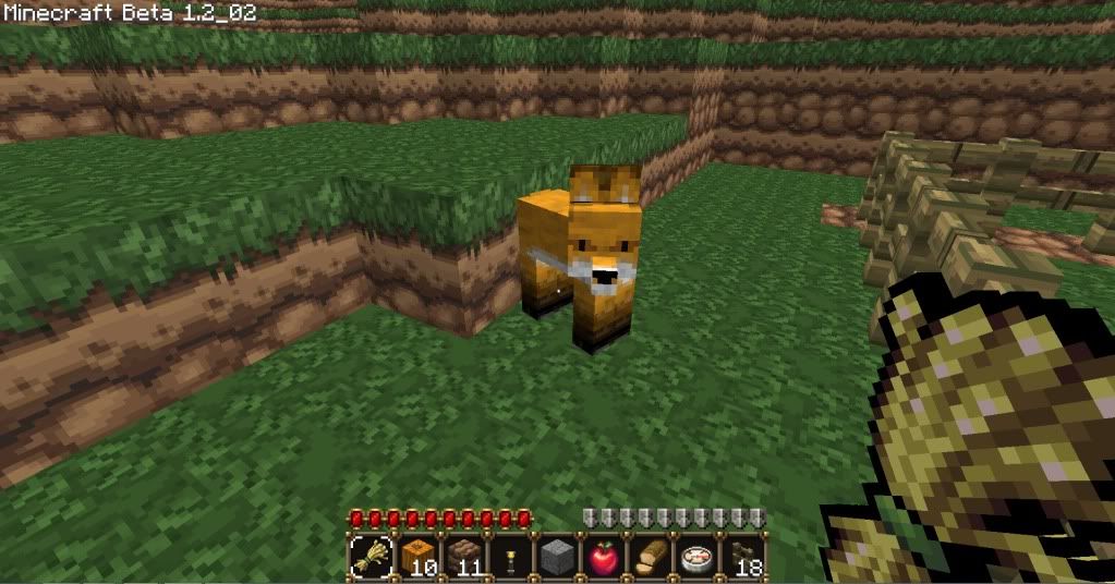 user posted image