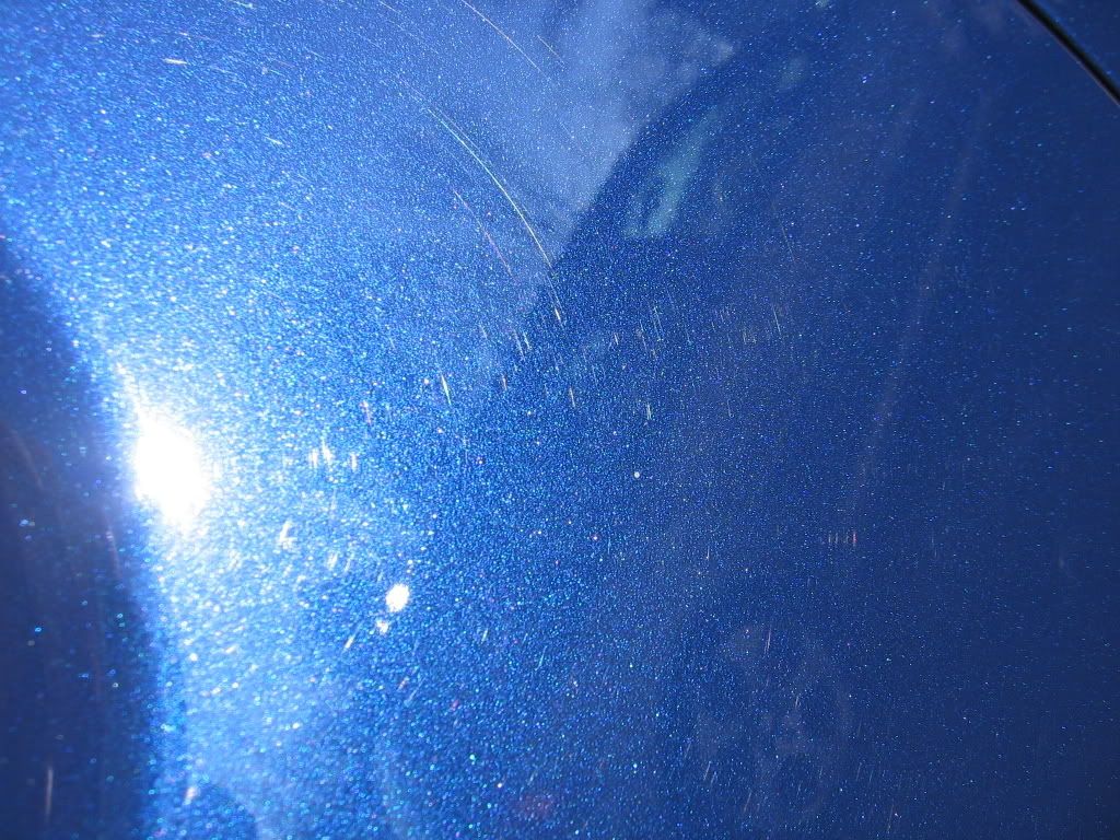 IMG_0505.jpg