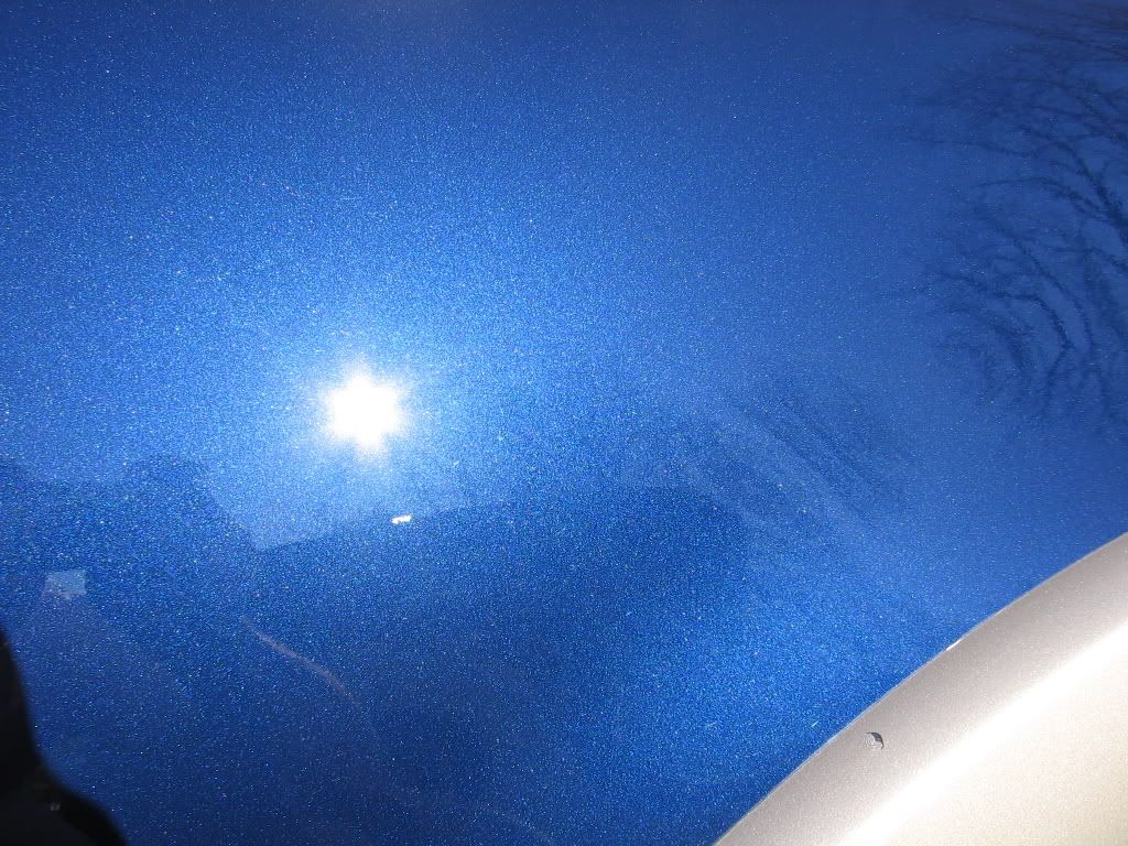 IMG_0510.jpg