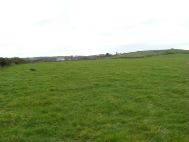 DSCF3702-1.jpg