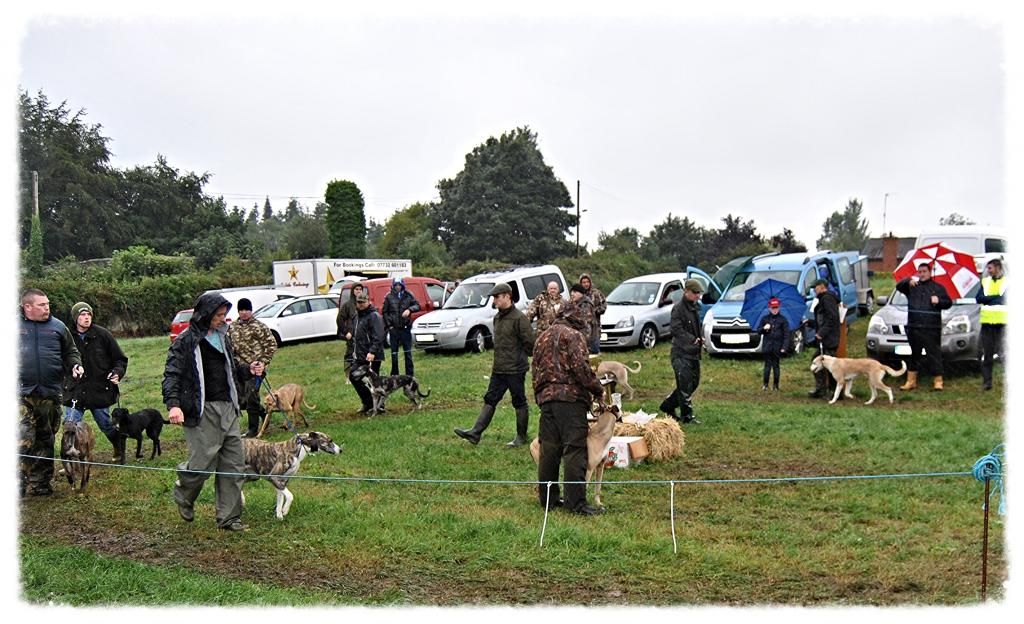 b34dff6d-e6ee-4876-ab73-9653403abced_zps