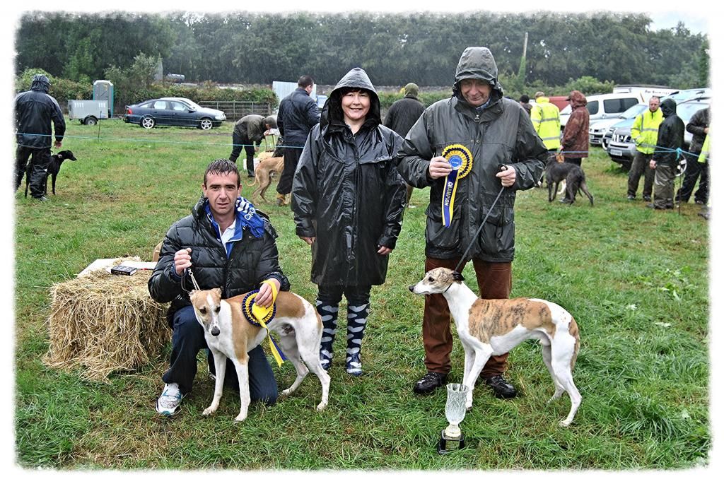 cfa1aa26-8b57-45d8-9e29-bed8e6439541_zps