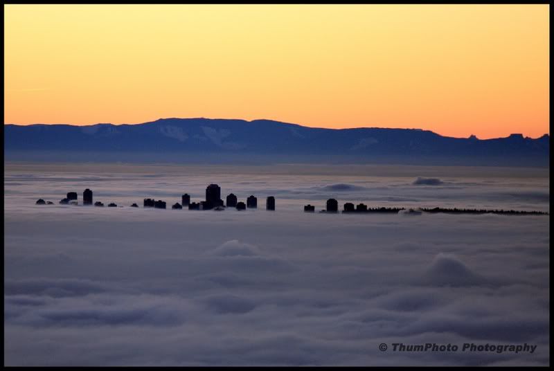 IMAGE: http://i251.photobucket.com/albums/gg304/thumphoto/January2009015-1.jpg