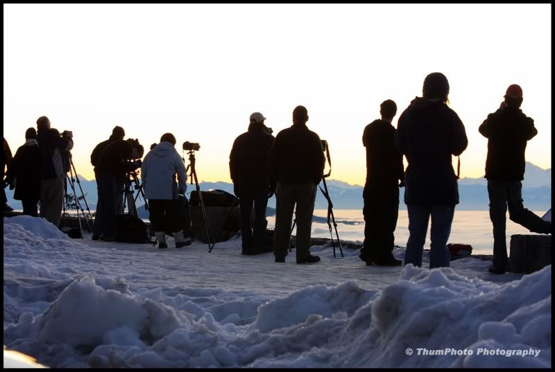 IMAGE: http://i251.photobucket.com/albums/gg304/thumphoto/January2009023-1.jpg