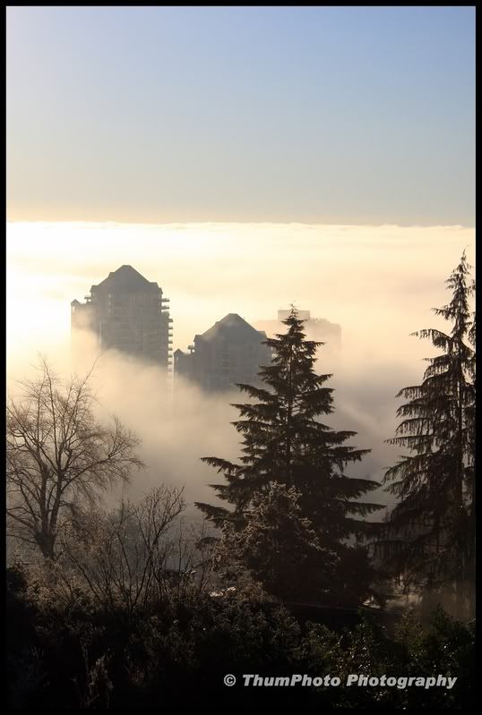 IMAGE: http://i251.photobucket.com/albums/gg304/thumphoto/January2009028-1.jpg