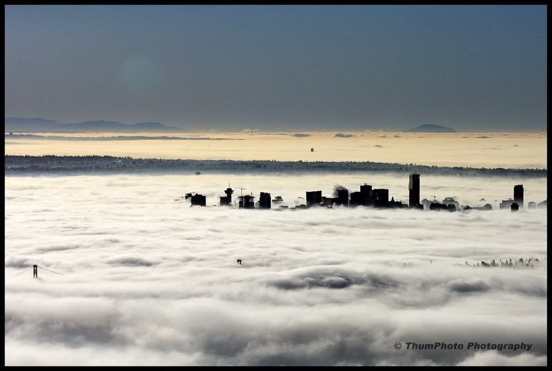 IMAGE: http://i251.photobucket.com/albums/gg304/thumphoto/January2009035-1.jpg