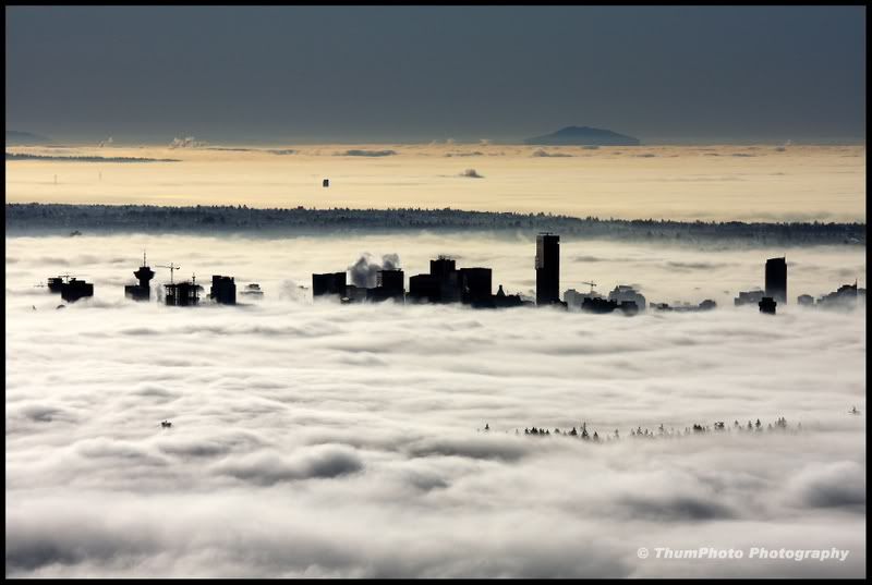 IMAGE: http://i251.photobucket.com/albums/gg304/thumphoto/January2009051-1.jpg