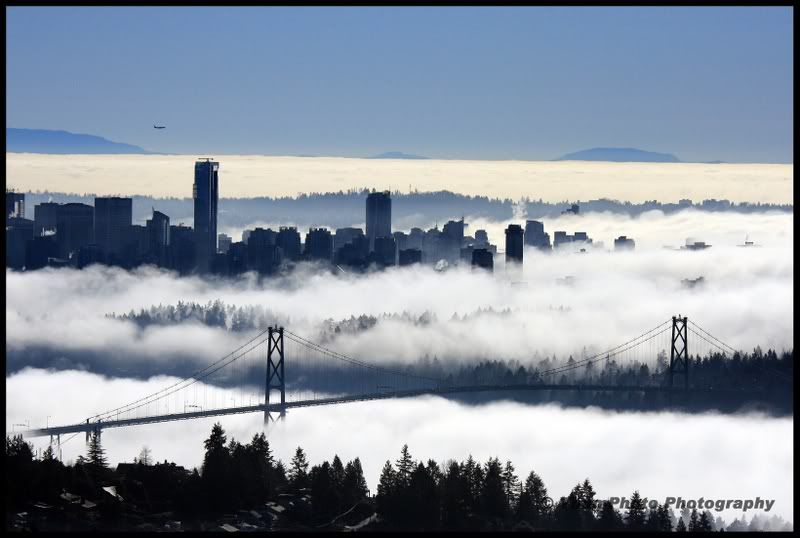 IMAGE: http://i251.photobucket.com/albums/gg304/thumphoto/January2009074-1.jpg