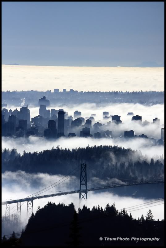 IMAGE: http://i251.photobucket.com/albums/gg304/thumphoto/January2009076-1.jpg