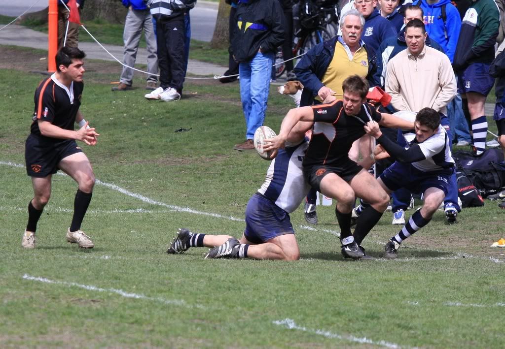 IMAGE: http://i251.photobucket.com/albums/gg304/thumphoto/Lomas-April19th2008281.jpg