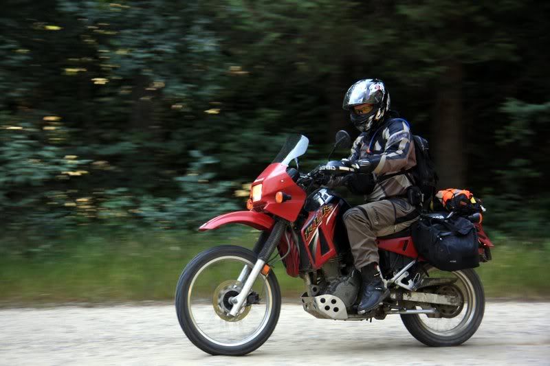 IMAGE: http://i251.photobucket.com/albums/gg304/thumphoto/Nelson20081755.jpg